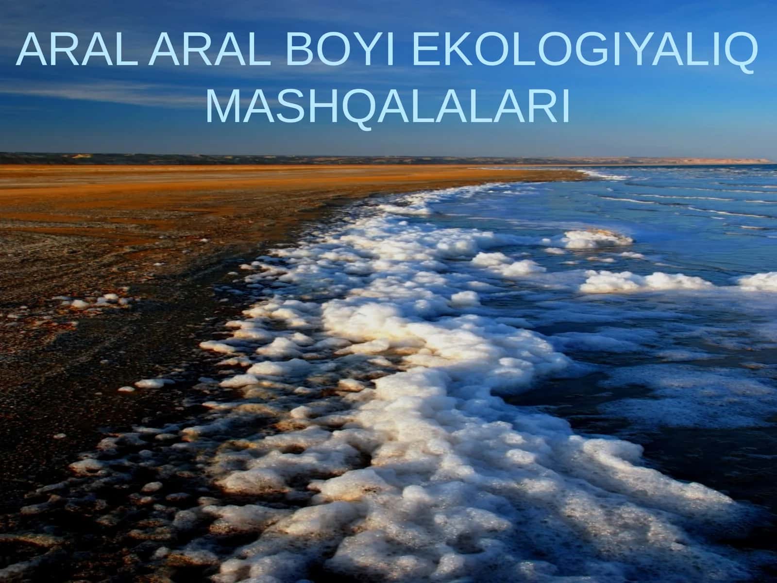 ARAL ARAL BOYI EKOLOGIYALIQ MASHQALALARI 1
