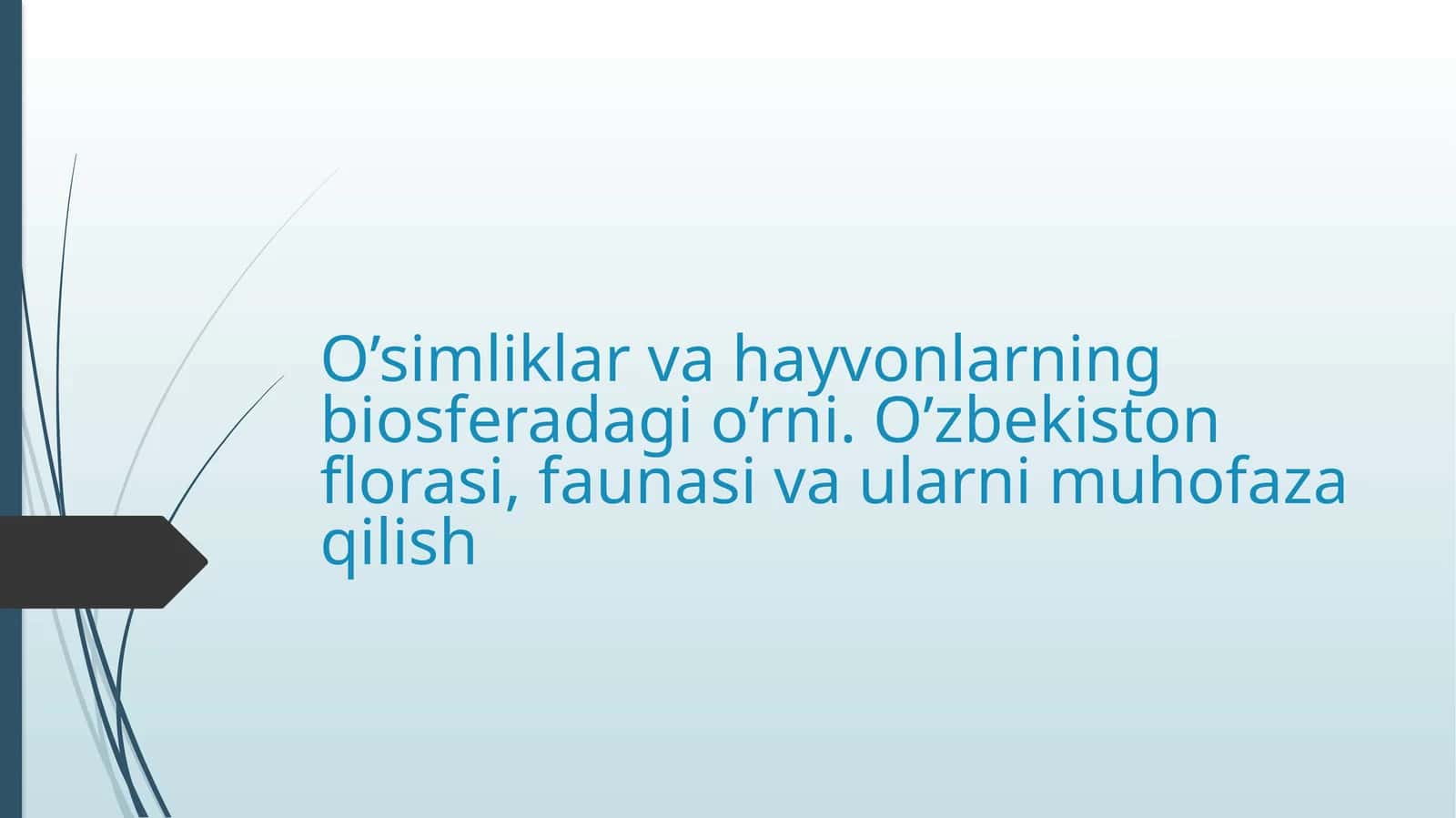 O’simliklarvahayvonlarningbiosferadagio’rni.O’zbekistonflorasi,faunasivaularnimuhofazaqilish 1