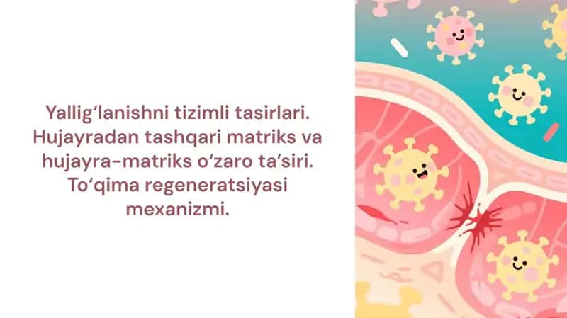 Yallig‘lanishni tizimli tasirlari. Hujayradan tashqari matriks va hujayra-matriks o‘zaro ta’siri. To‘qima regeneratsiyasi mexanizmi. 1