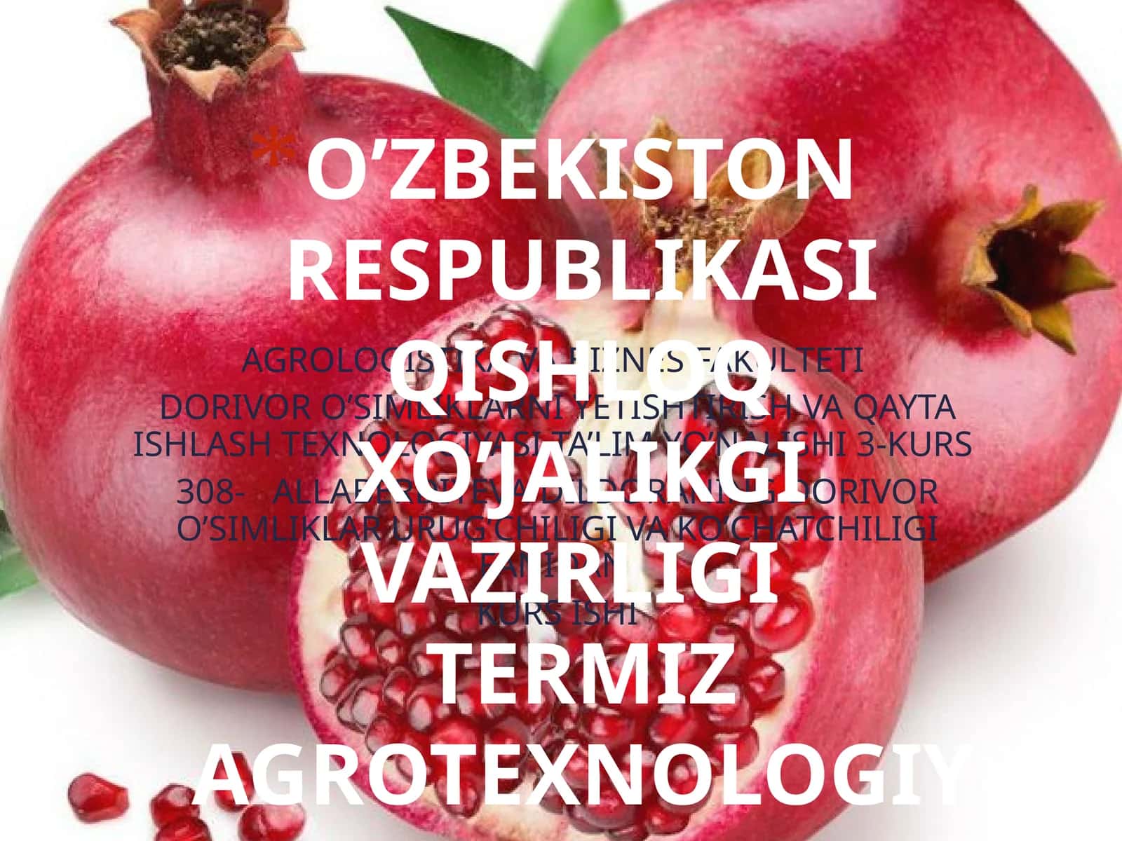 Anor (Punicagranatum) o’simligining biologiyasi va ko’chatchiligi 1
