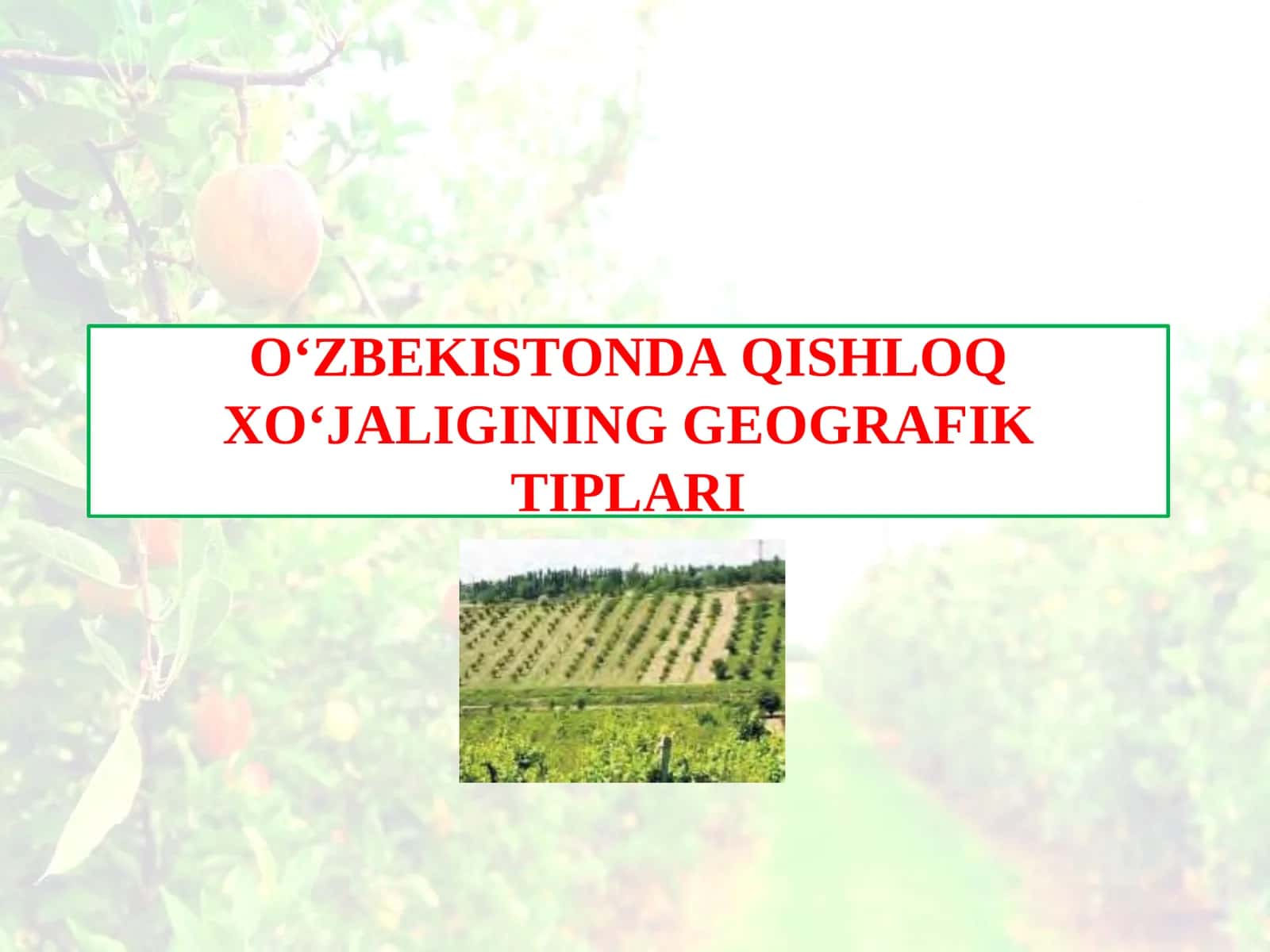 O‘ZBЕKISTОNDА QISHLОQ ХO‘JАLIGINING GЕОGRАFIK TIPLАRI 1