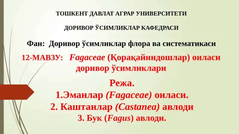 Fagaceae(Қорақайиндошлар) оиласи доривор ўсимликлари 1