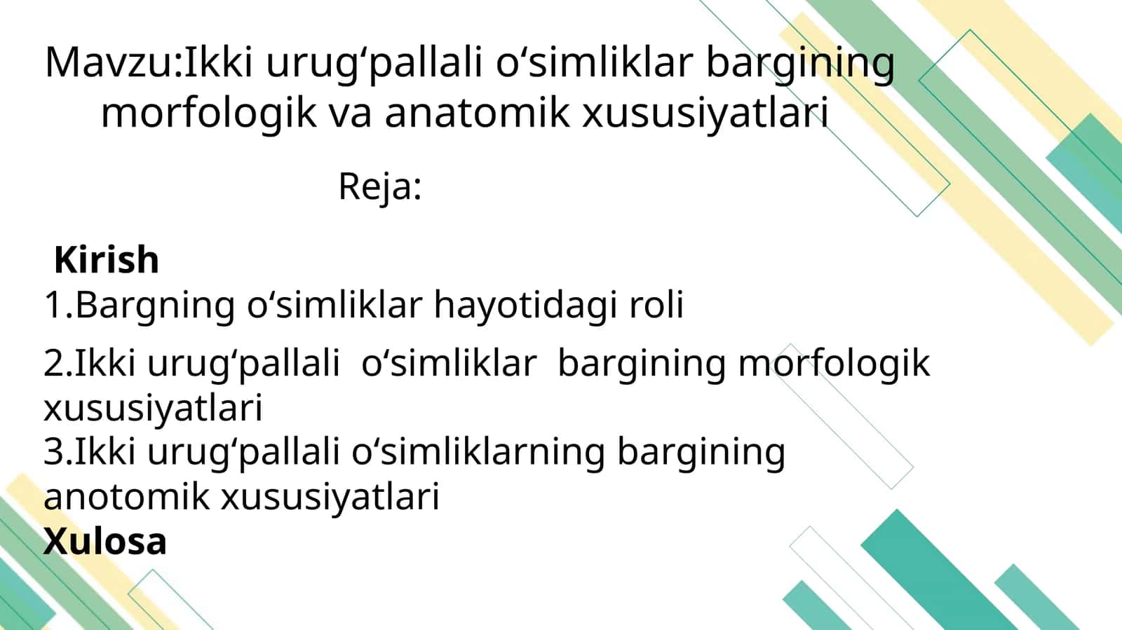 Ikki urugʻpallali oʻsimliklar bargining morfologik va anatomik xususiyatlari 1