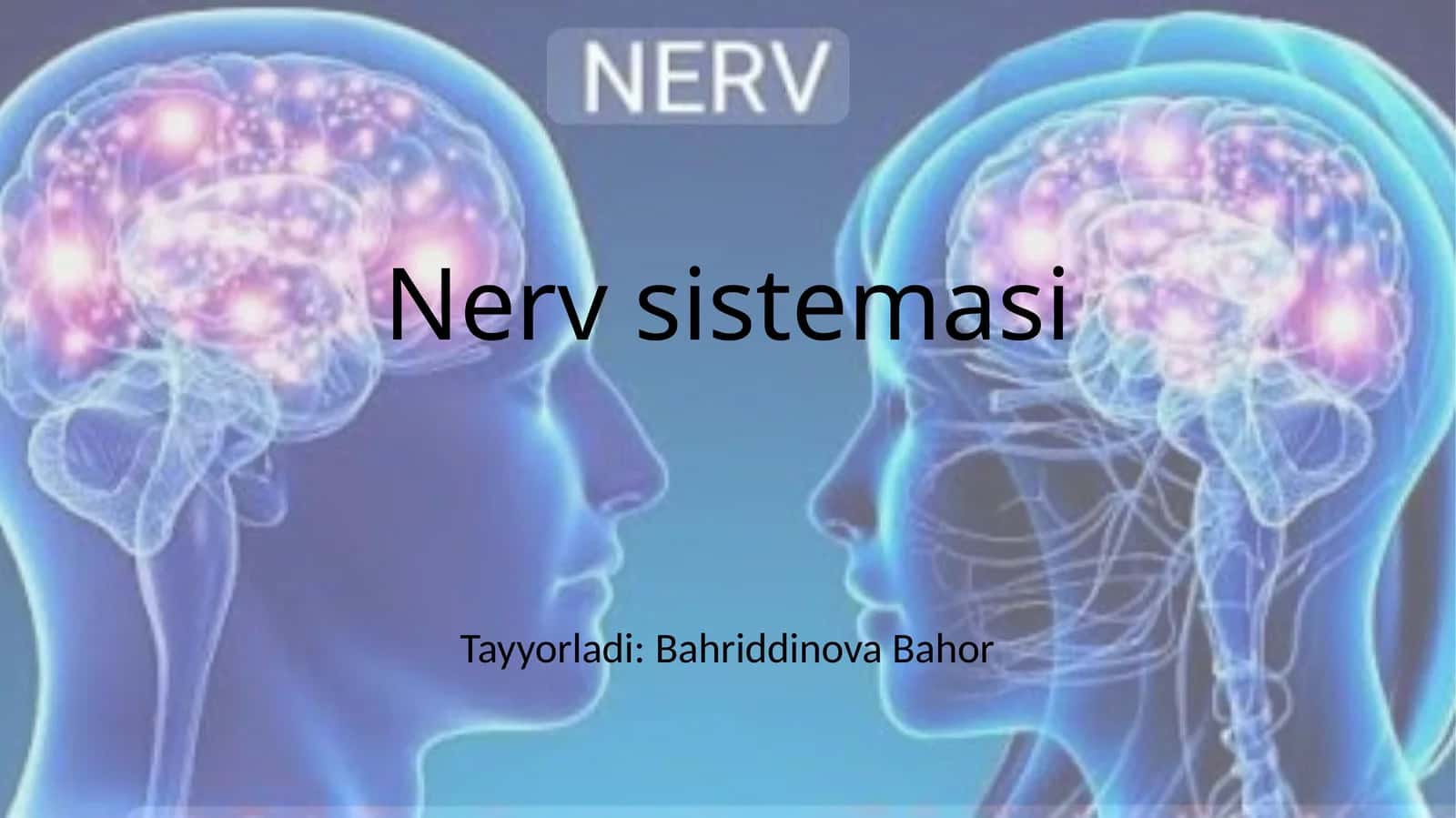 Nervsistemasi 1
