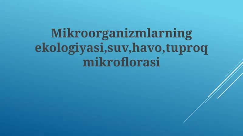 Mikroorganizmlarning ekologiyasi 1