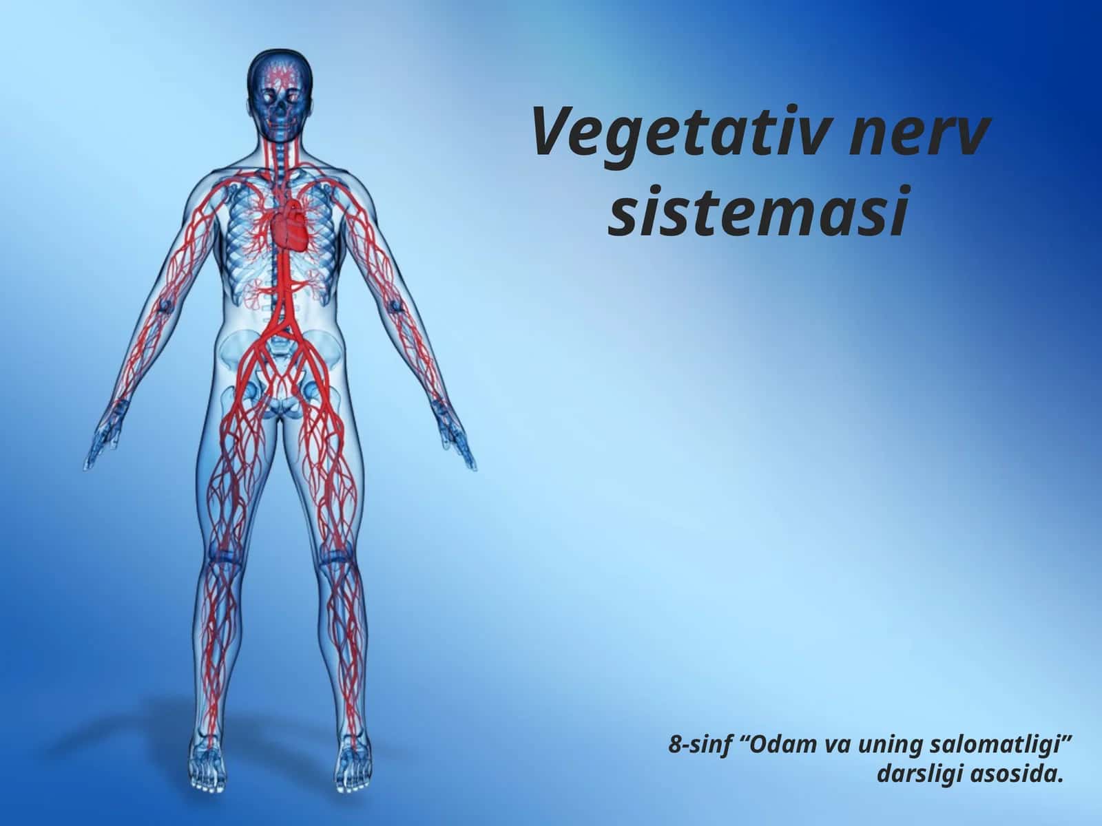 Vegetativ nerv sistemasi 1