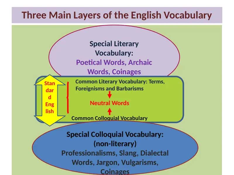 Three Main Layers of the English Vocabulary 1