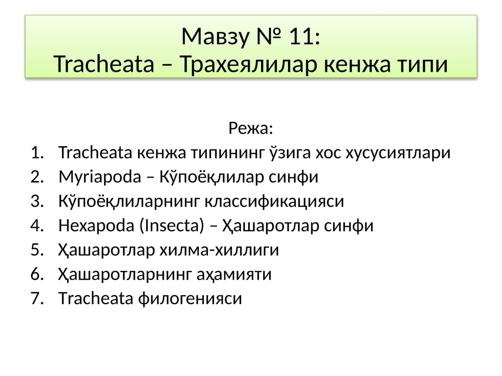 Tracheata – Трахеялилар кенжа типи 1
