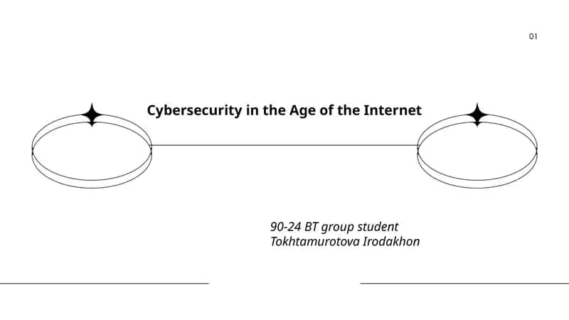 Cybersecurity in the Age of the Internet 1