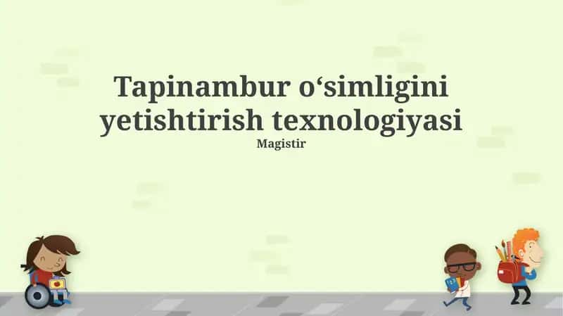 Tapinambur oʻsimligini yetishtirish texnologiyasi 1