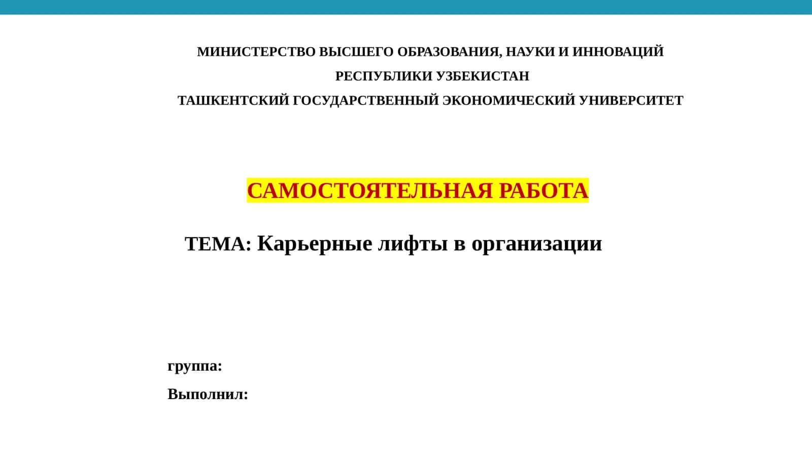Карьерный лифт в организации 1