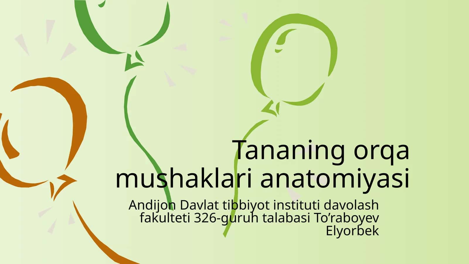 Tananing o'rga mushaklari anatomiyasi 1