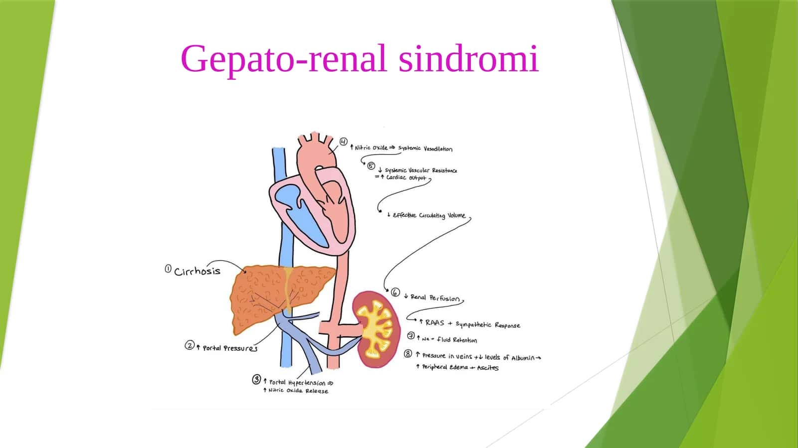 Gepato-renal sindromi 1