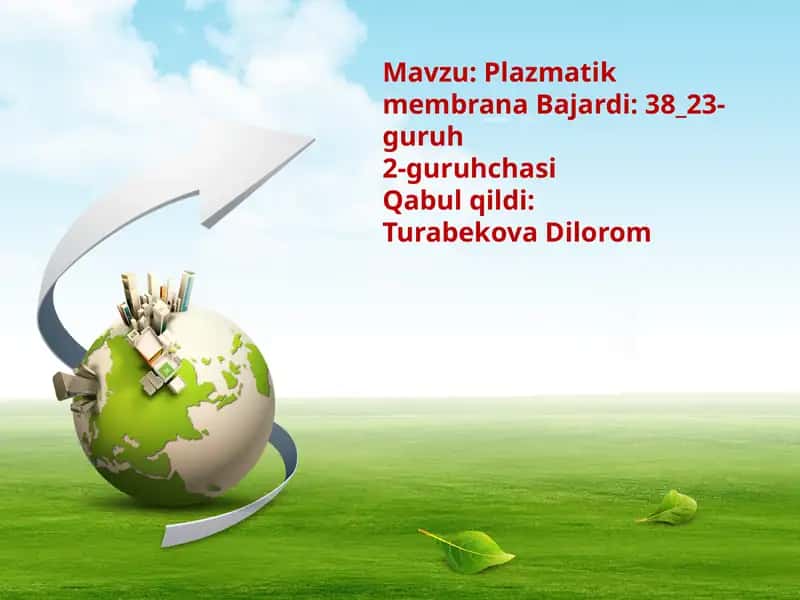 Plazmatik membrana 1