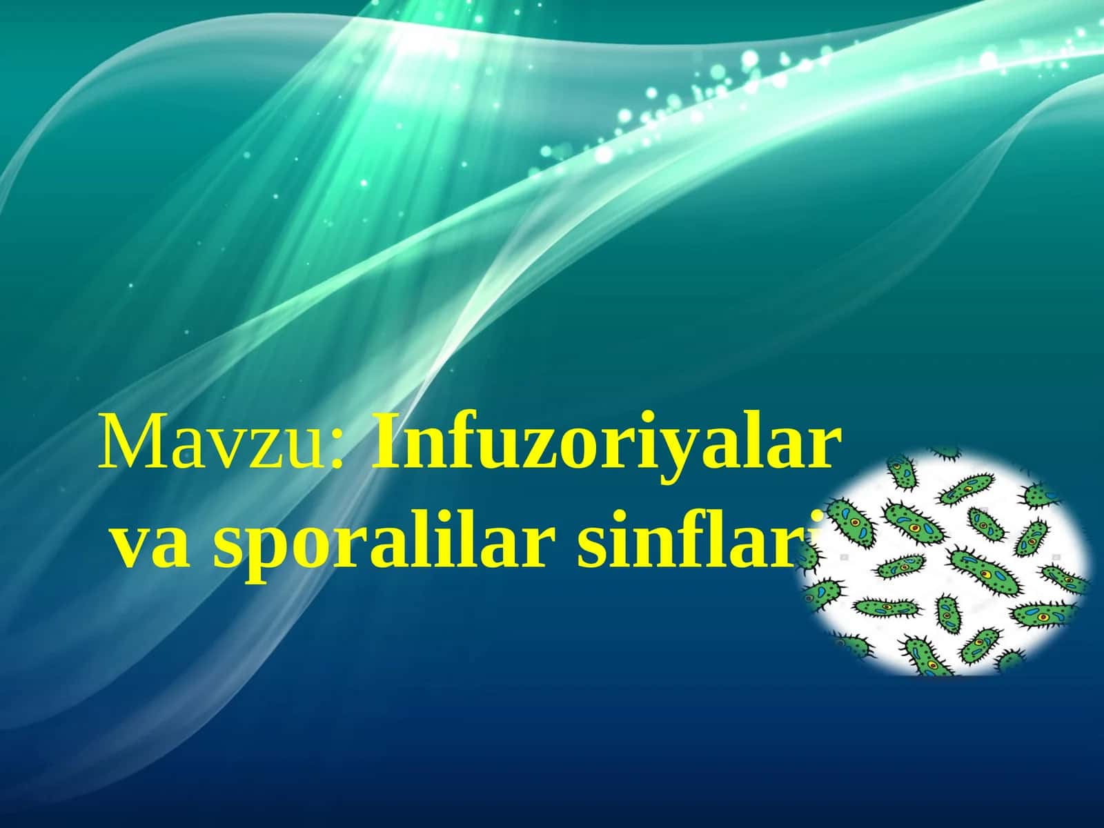 Infuzoriyalar va Sporalilar Sinflari 1