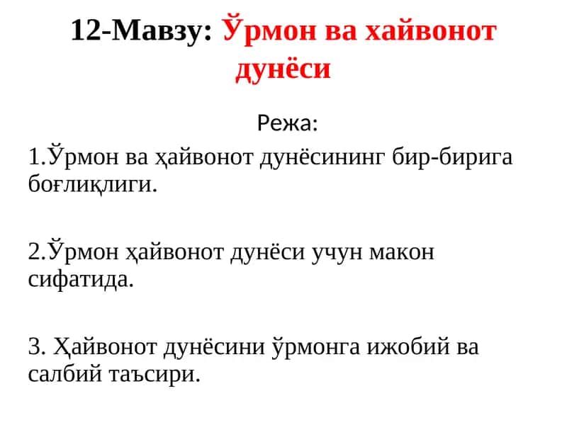 Ўрмон ва хайвонот дунёси 1