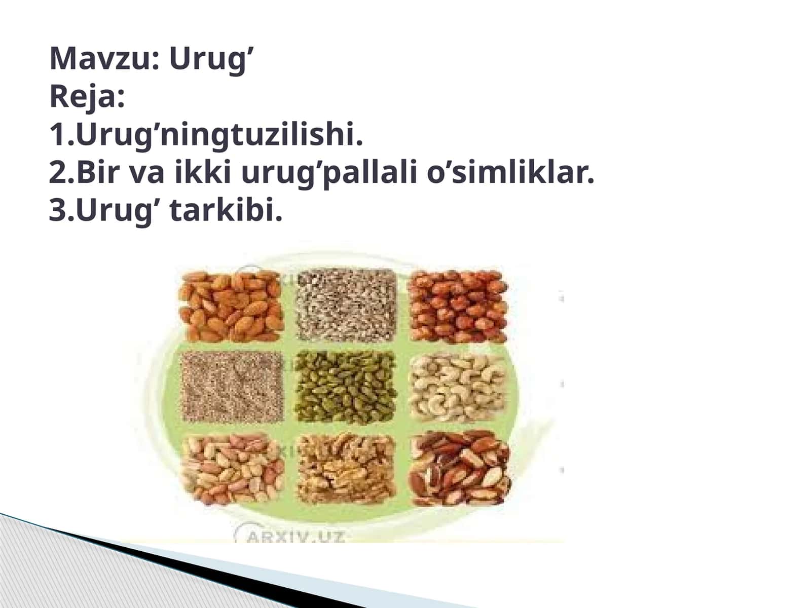 Urug’ningtuzilishi 1