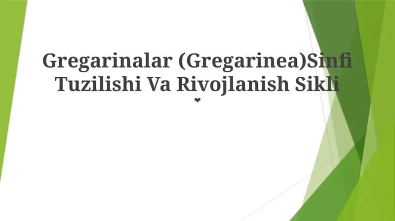 Gregarinalar (Gregarinea)Sinfi Tuzilishi Va Rivojlanish Sikli 1