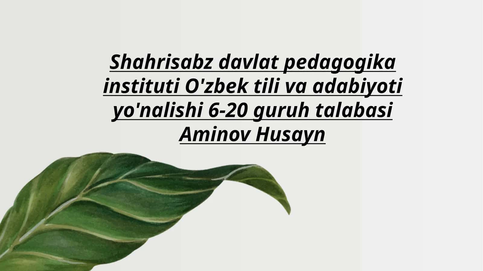 Lison ut-tayr 1