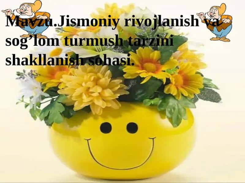 Jismoni yirvojlanish va sog'liq turmush tarzini shakllanish sohasi 1