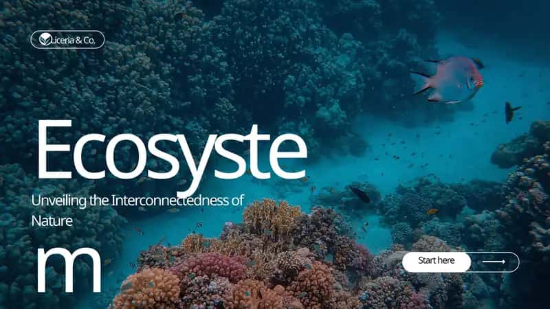 What Is Ecosystem? 1