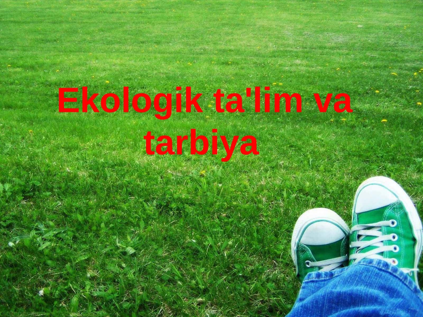 Ekologik ta'lim va tarbiya 1