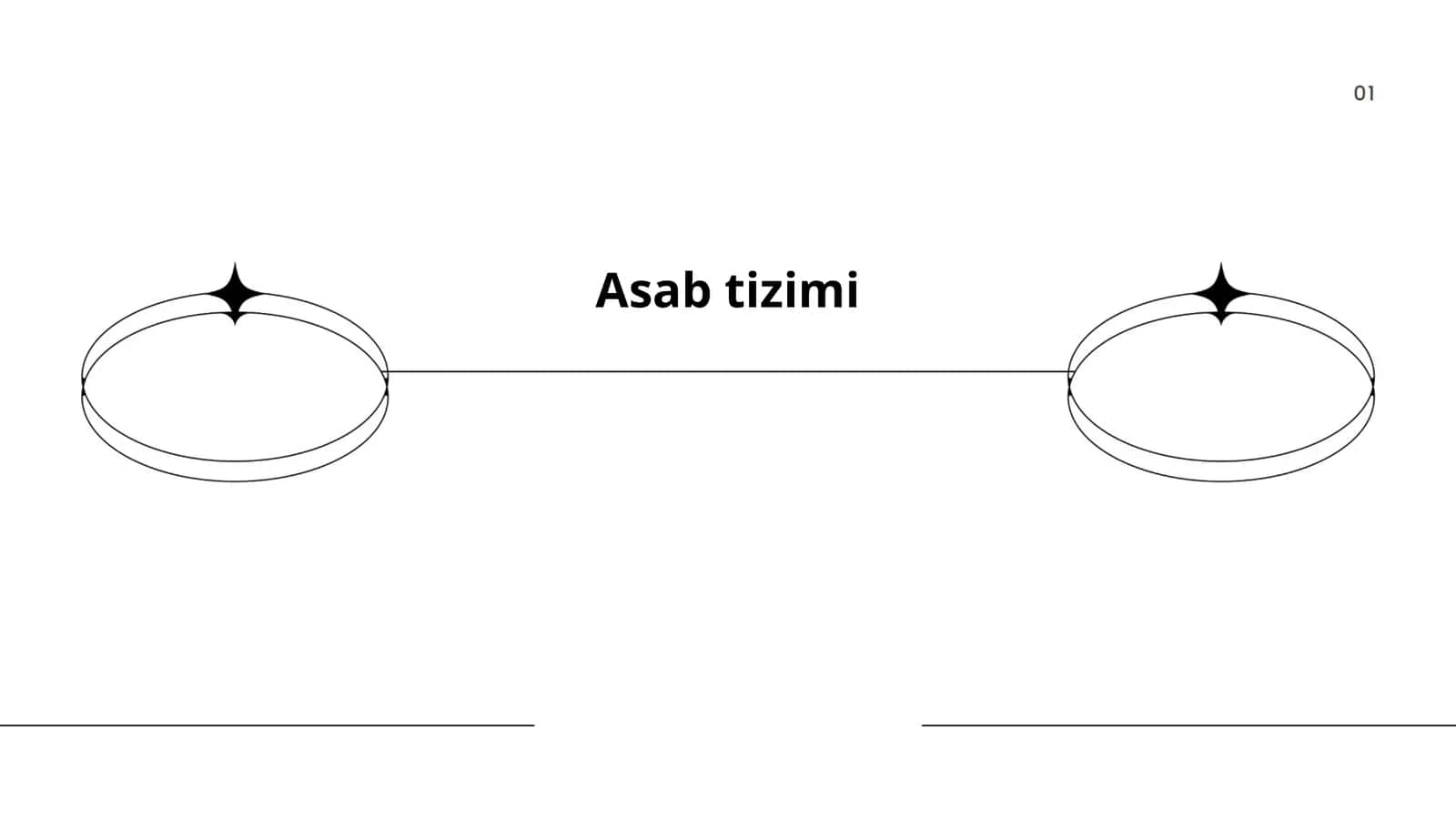 Asab tizimi 1