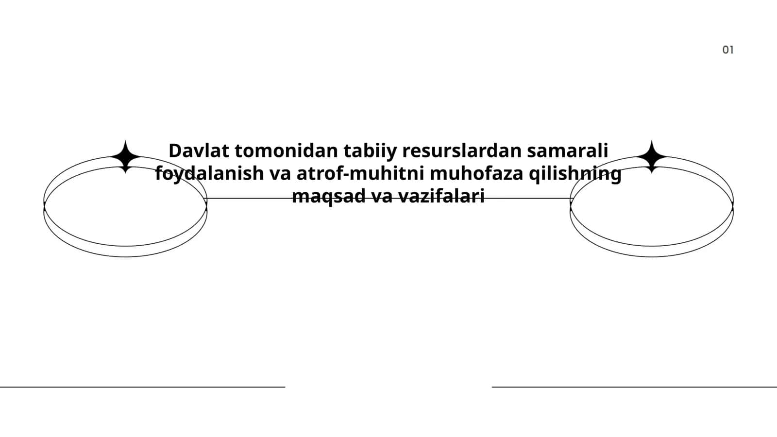 Davlat siyosatining umumiy maqsadlari va tamoyillari 1