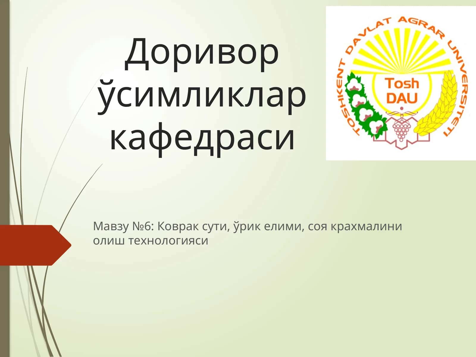 Коврак сути, ўрик елими, соя крахмалини олиш технологияси 1