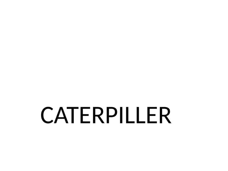 CATERPILLER 1