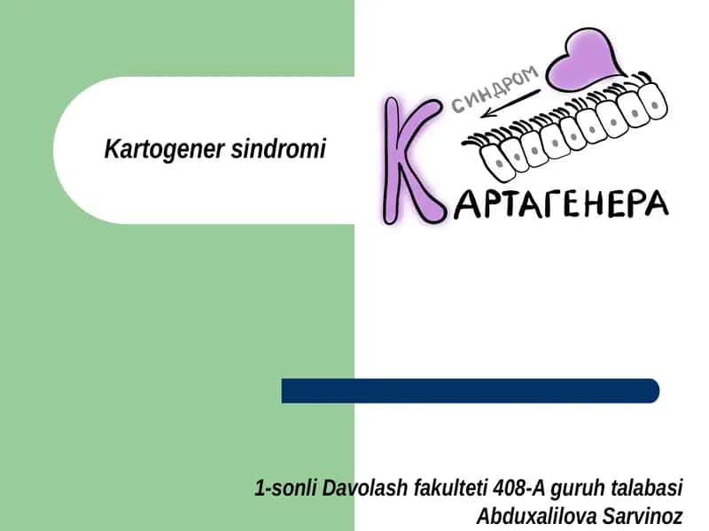 Kartogenersindromi 1