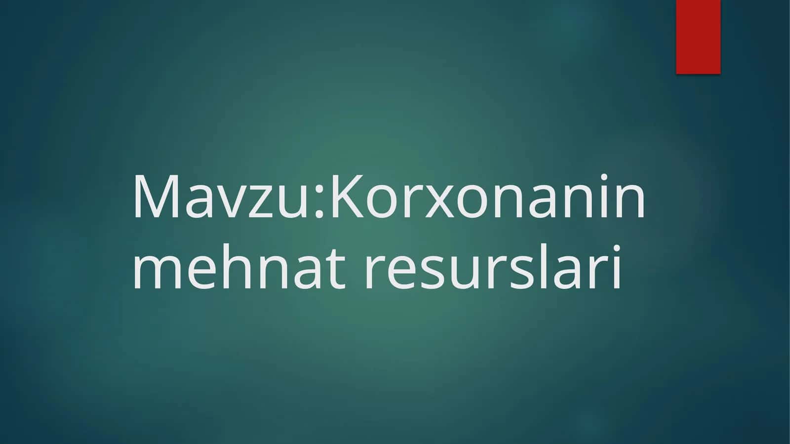 Korxonanin mehnat resurslari 1