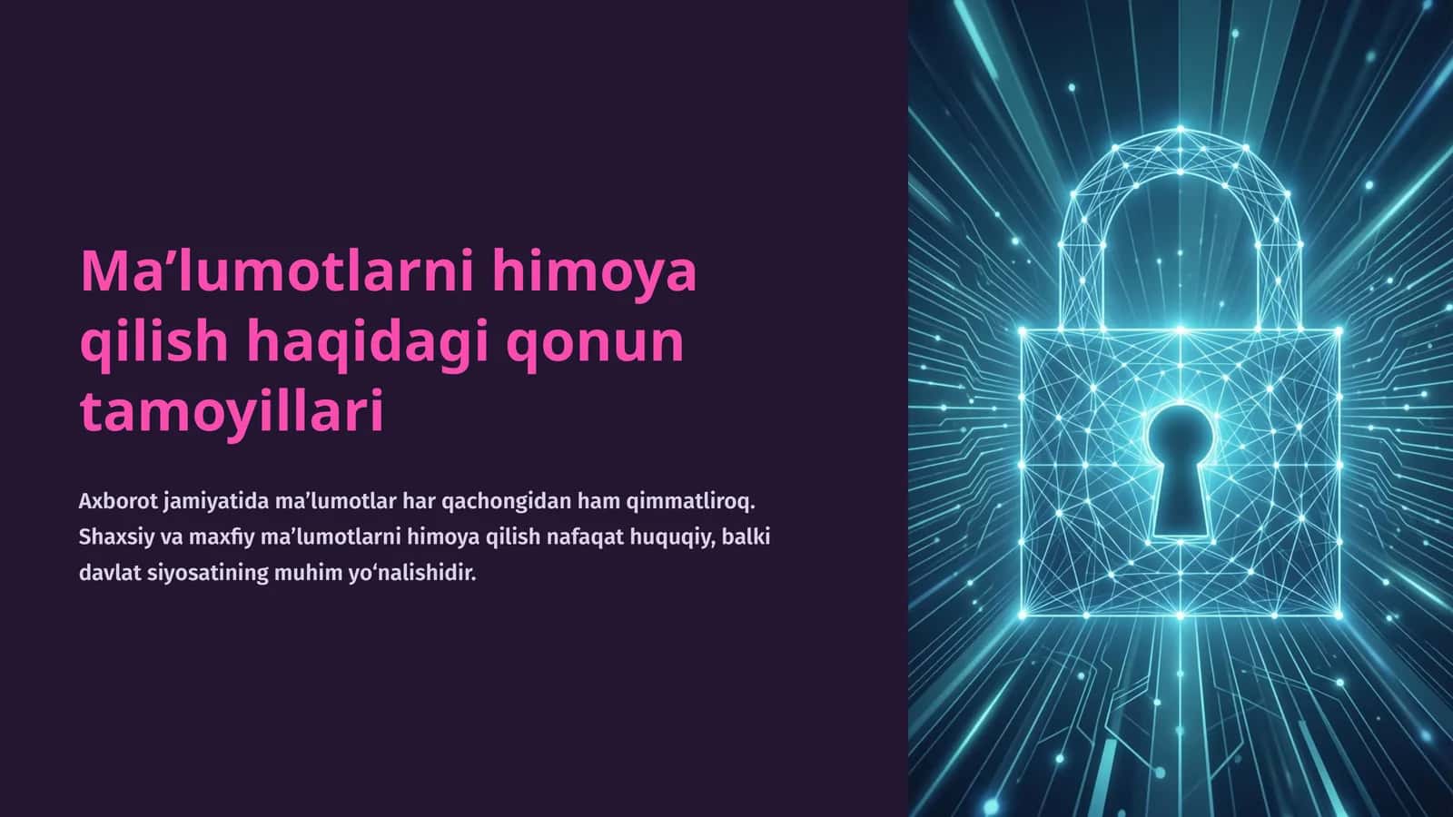 Ma’lumotlarni himoya qilish haqidagi qonun tamoyillari 1