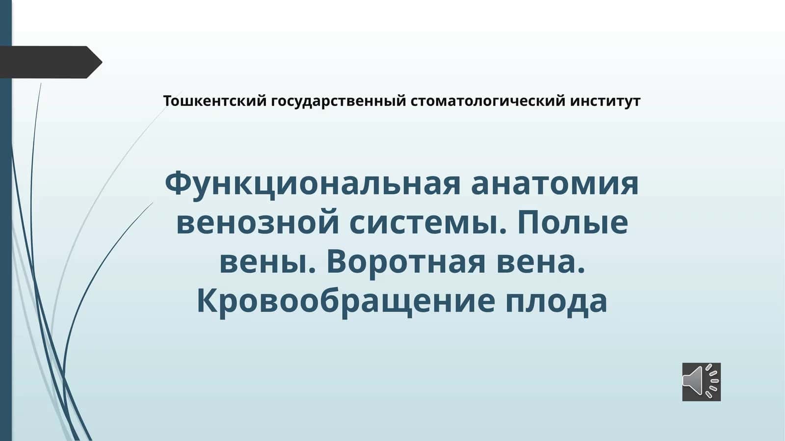Функциональная анатомия венозной системы. Полые вены. Воротная вена. Кровообращение плода 1