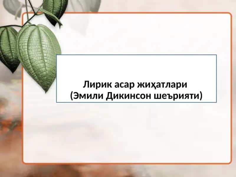 Лирик асар жиҳатлари(Эмили Дикинсон шеърияти) 1