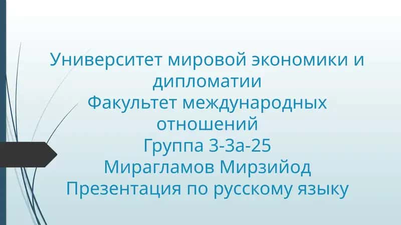 Презентация по русскому языку 1