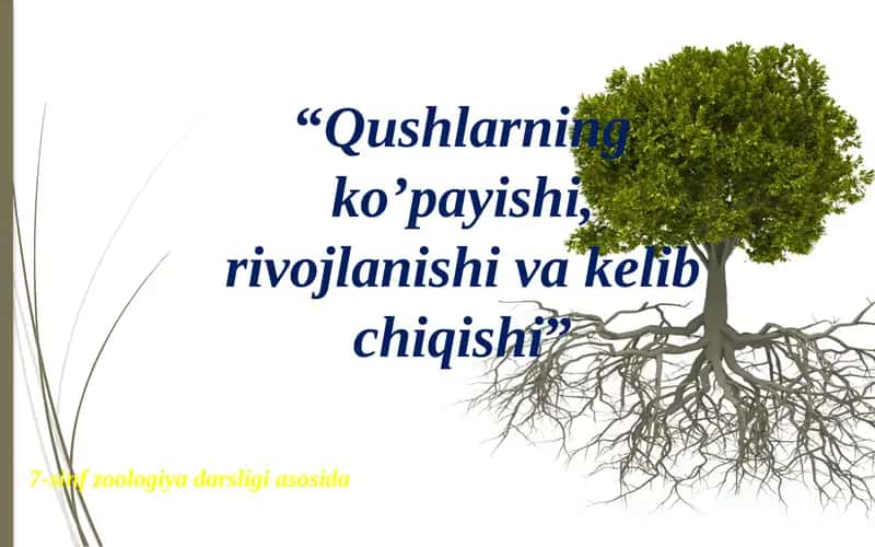 7-sinf Zoologiya 1