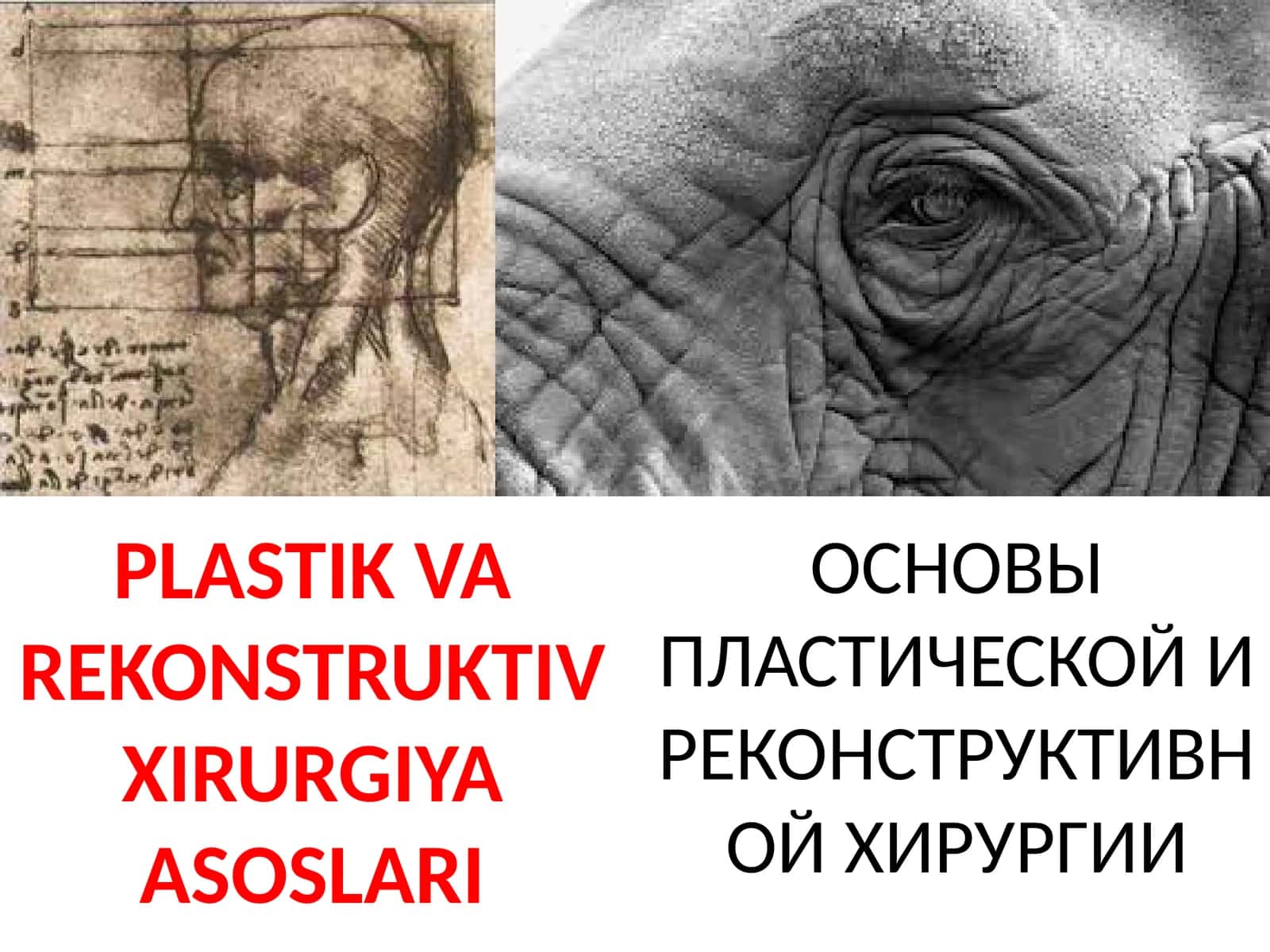 PLASTIK VA RЕKONSTRUKTIV XIRURGIYA ASOSLARI 1