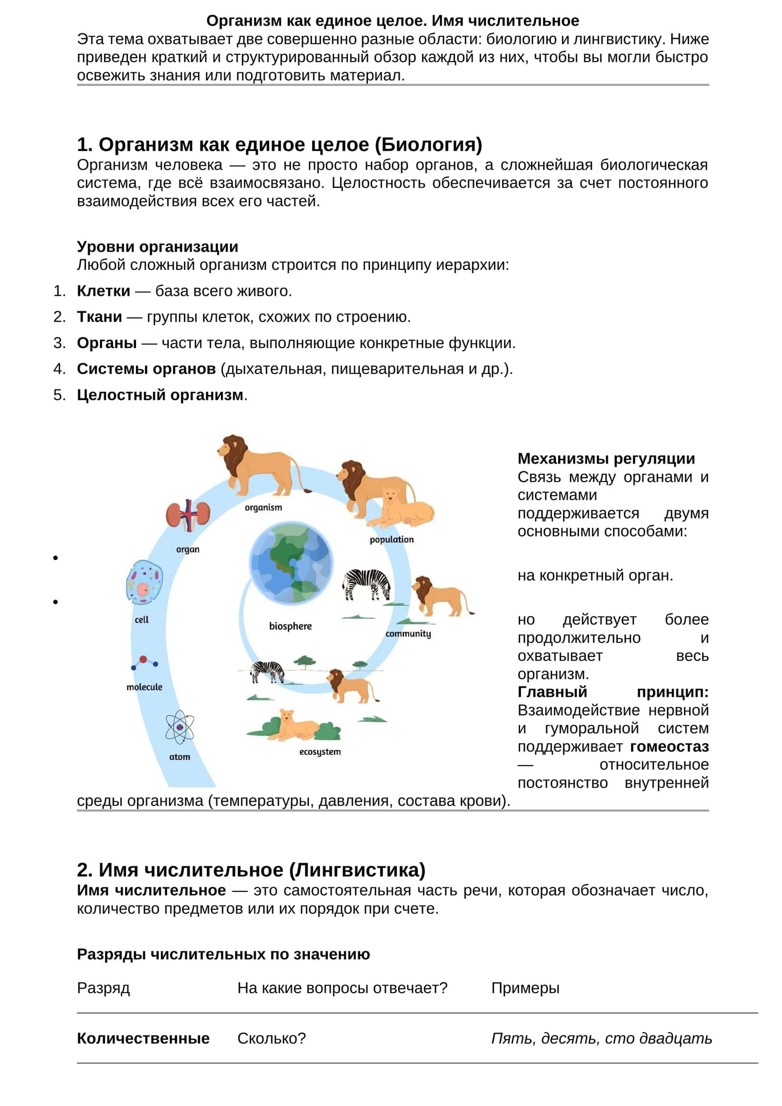 Организм как единое целое. Имя числительное 1