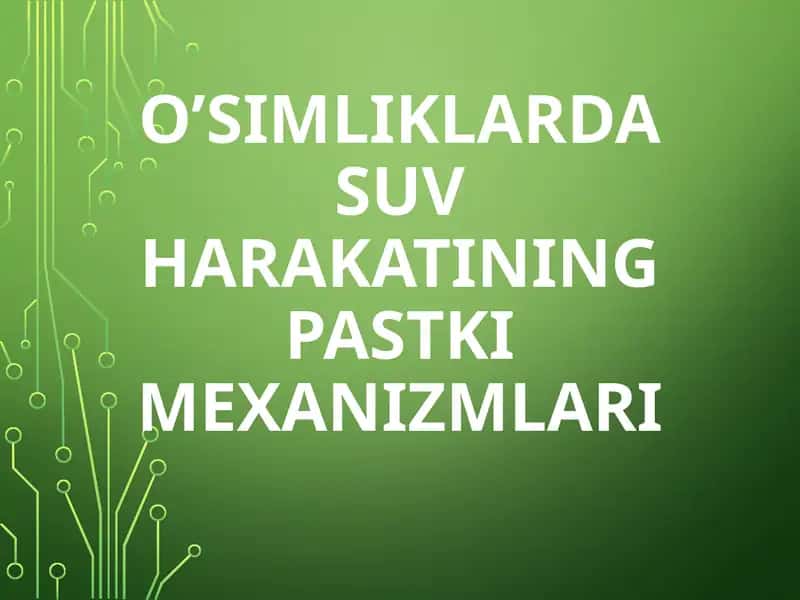 O’SIMLIKLARDA SUV HARAKATINING PASTKI MEXANIZMLARI 1