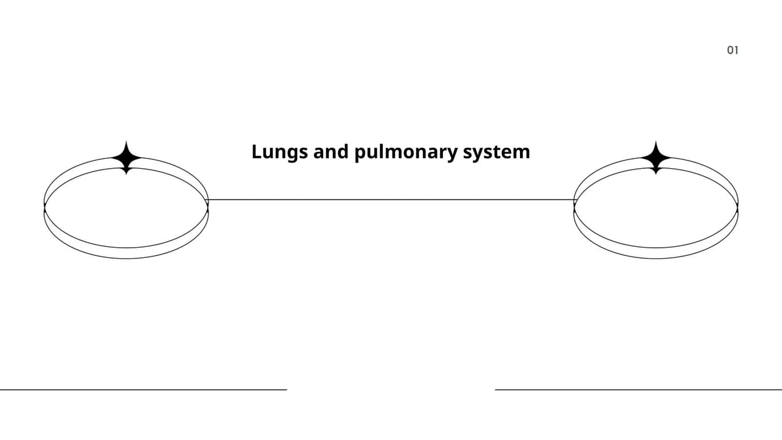Lungs and pulmonary system 1