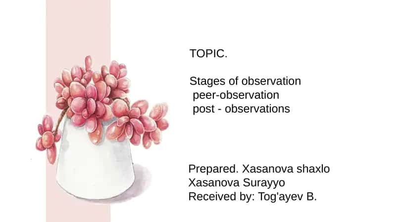 Stages of observation 1