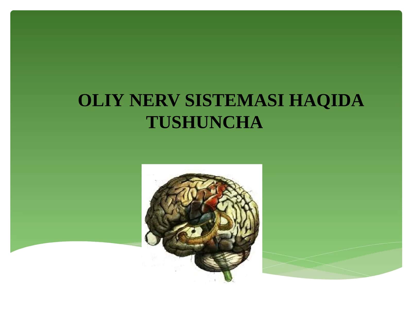 ОLIY NERV SISTEMASI HAQIDA TUSHUNCHA 1