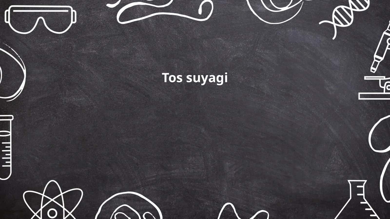 Tos suyagi 1