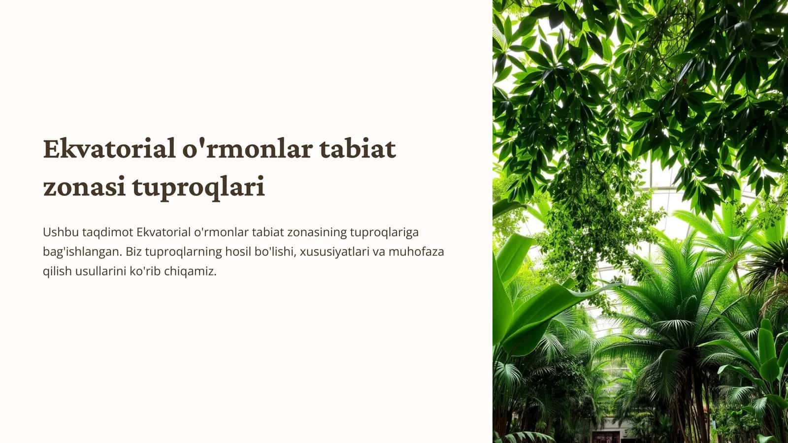 Ekvatorial o'rmonlar tabiat zonasi tuproqlari 1