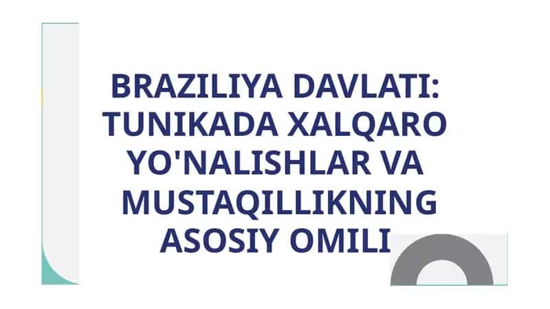 BRAZILIYA DAVLATI: TUNIKADA XALQARO YO'NALISHLAR VA MUSTAQILLIKNING ASOSIY OMILI 1
