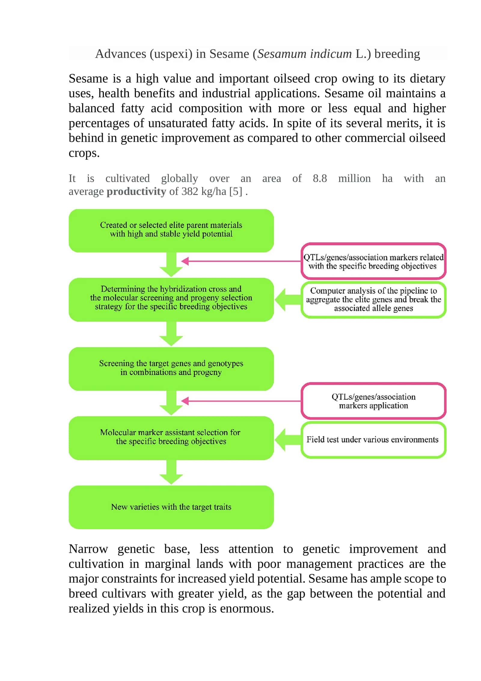 Advances (uspexi) in Sesame (Sesamum indicumL.) breeding 1
