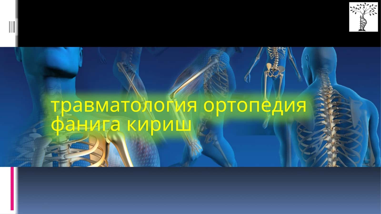 Травматология 1