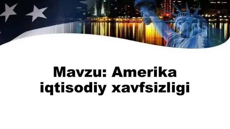Amerika iqtisodiy xavfsizligi 1