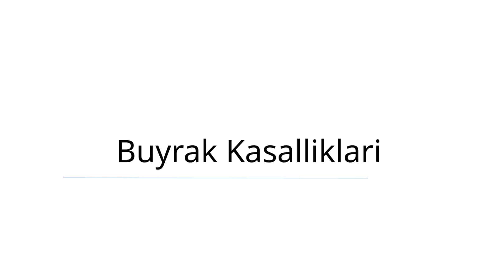 Buyrak Kasalliklari 1